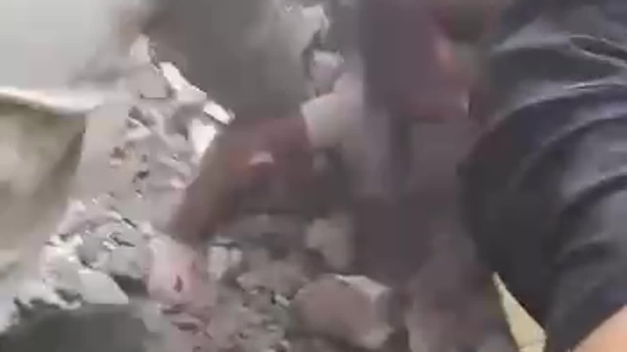 In Gaza, a child was pulled alive from the rubble.