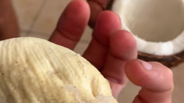 Most People Don't Know This About Coconuts