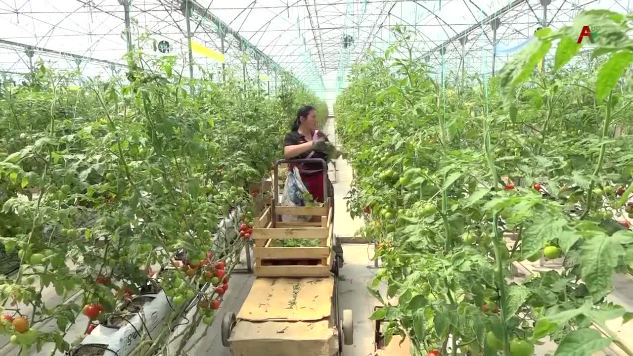 Госстатистика Абхазии