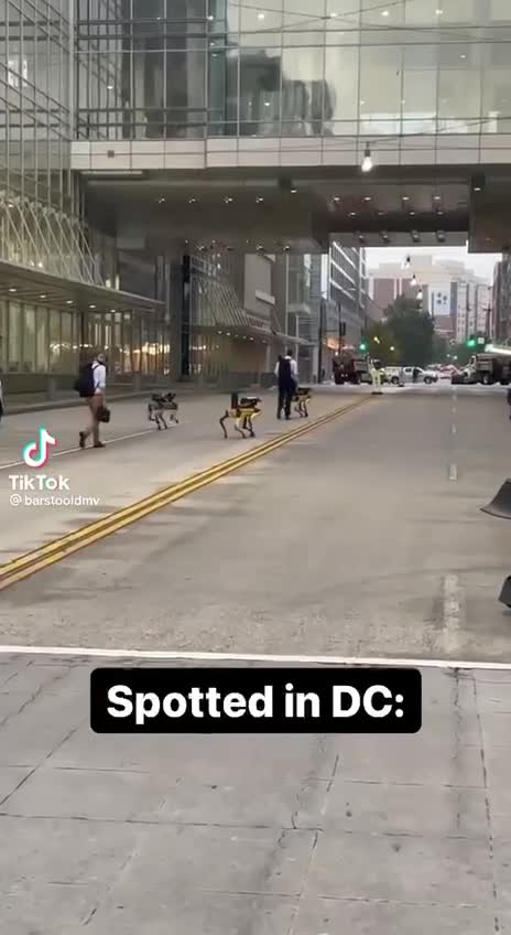 Robot dogs spotted in Washington