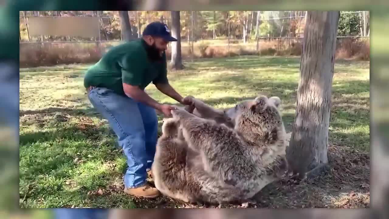 Pets reunited with owners after sometime