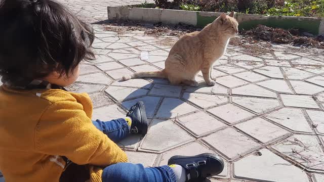 Companionship of cat and child