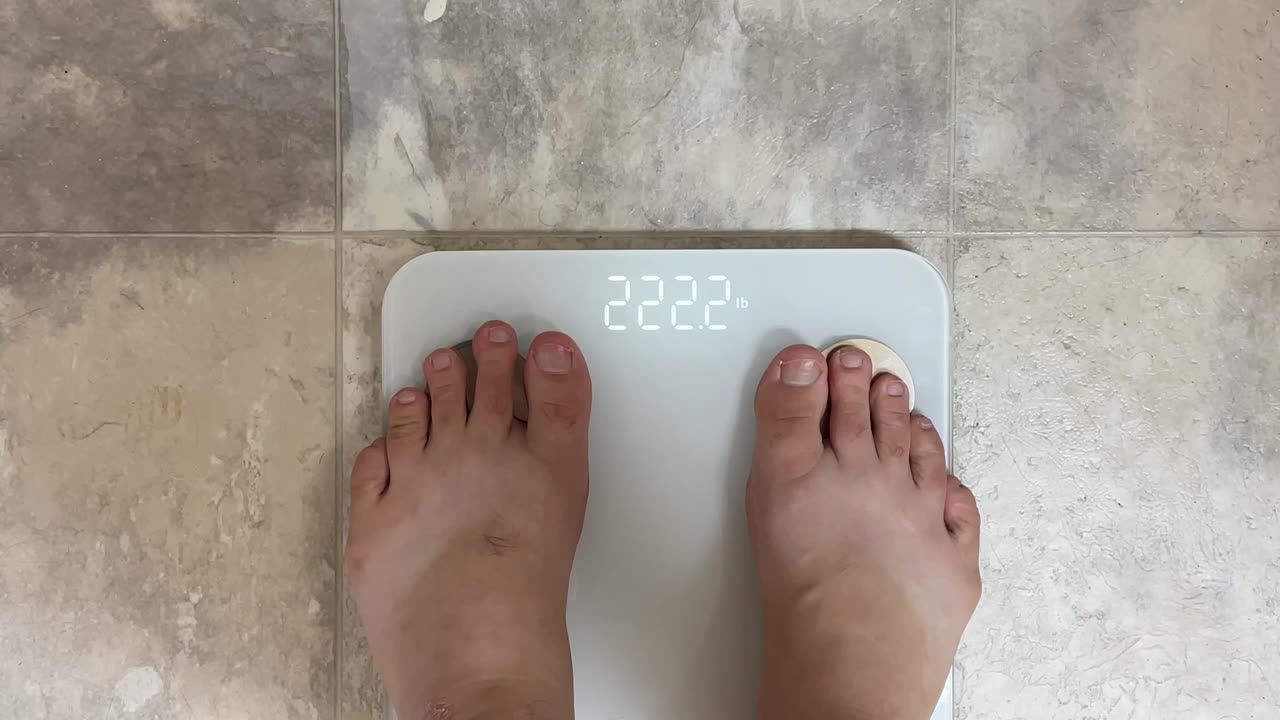 WYZE Smart Scale Review