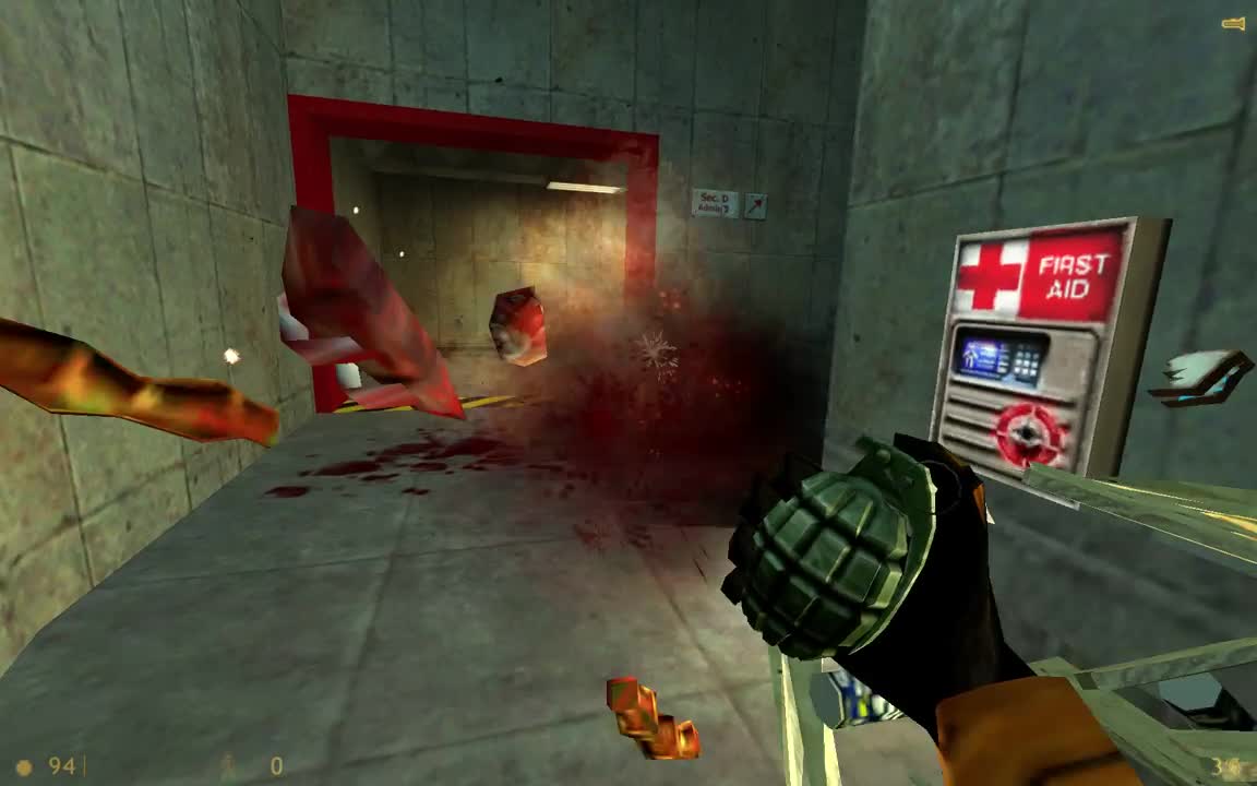 Half-Life_ Wounded