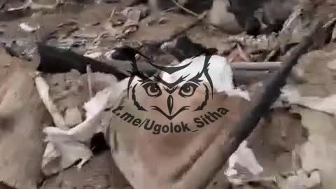 Ukraine War - Direct hit in the dugout with Ukrainian servicemen