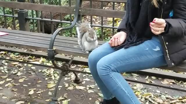 Woman on park bench feeding squirrel