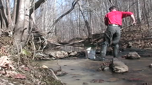 VA Gold On the Creek Tongue Quarter Creek Will March 2008