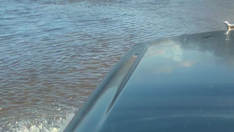 Truck Fords Through Flooded Roadway