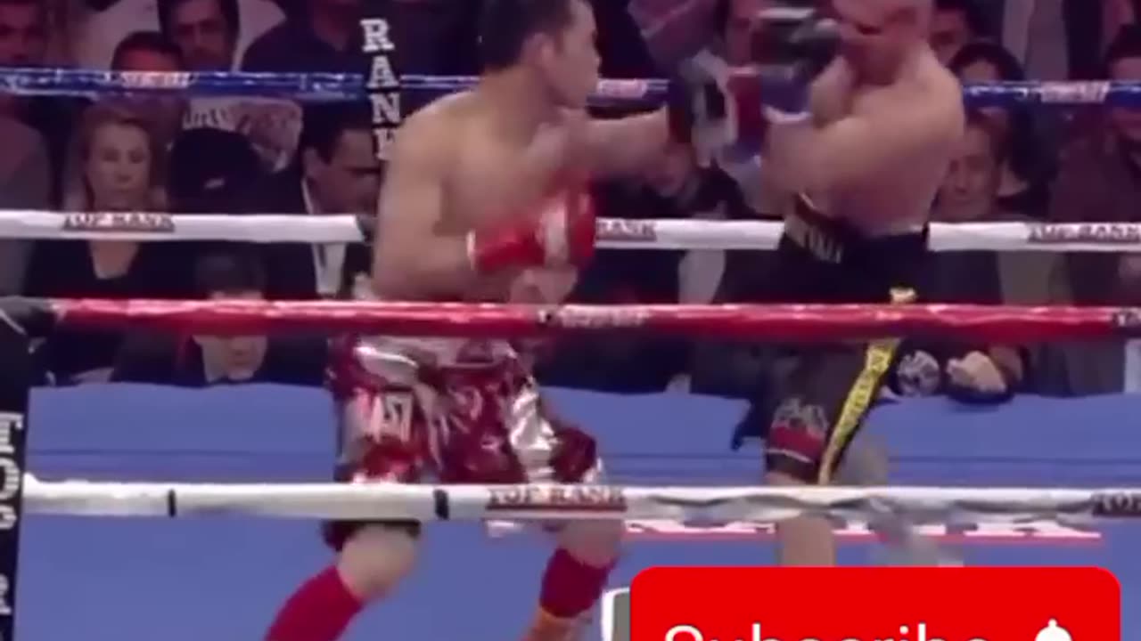 Best Boxing video