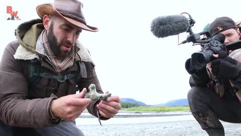 Bald Eagle Adventure