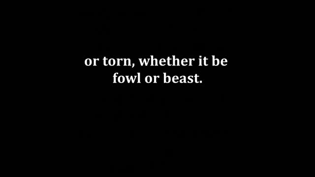 Ezekiel 44 King James version