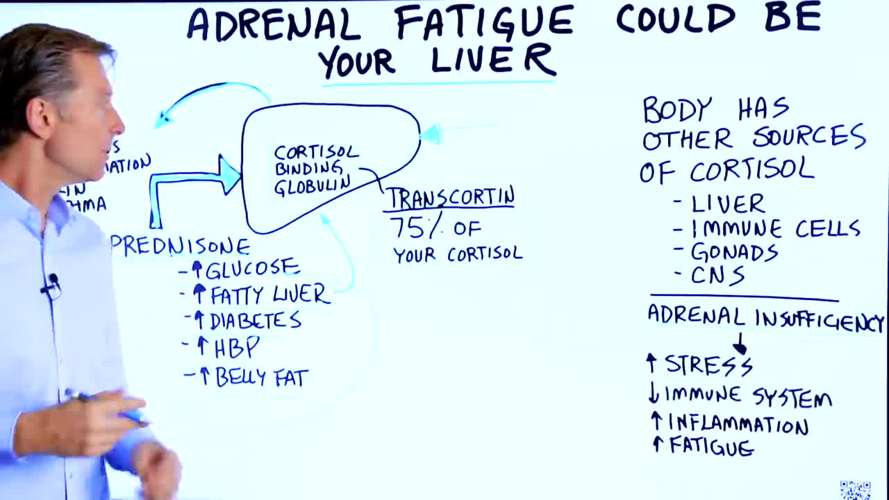 DrBerg-Adrenal Fatigue Could Be A Liver Problem