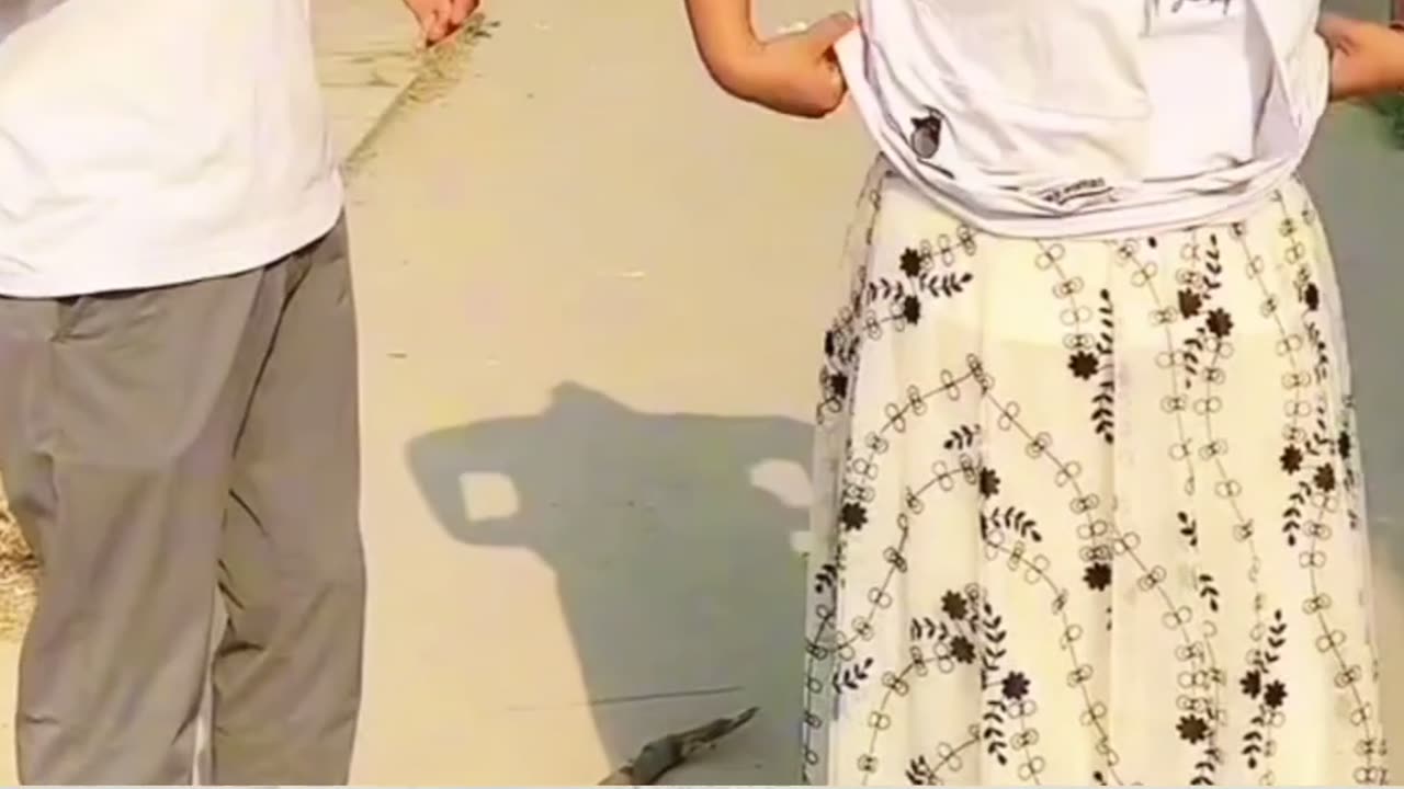 ,fanny video,fanny,fanny chinese shorts,chinese fanny gameplay