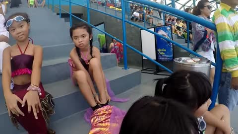 Sirens visiting a dolphin show