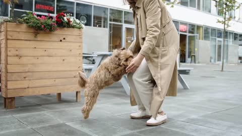 Amazing dog dance