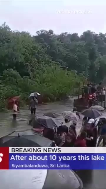 Muthukandiya Lake Overflows | @Muthukandiya lake | @siyambalanduwa @thewonderofnature #naturekiss