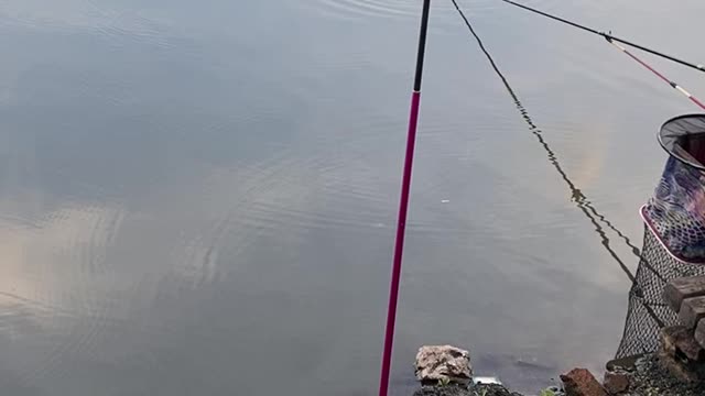 just fishing