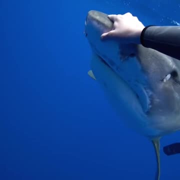 Moments when time stands still