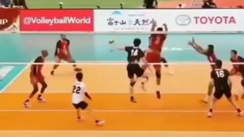 Funny fun video moment