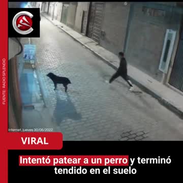 Homem tenta chutar cachorro e se dá mal