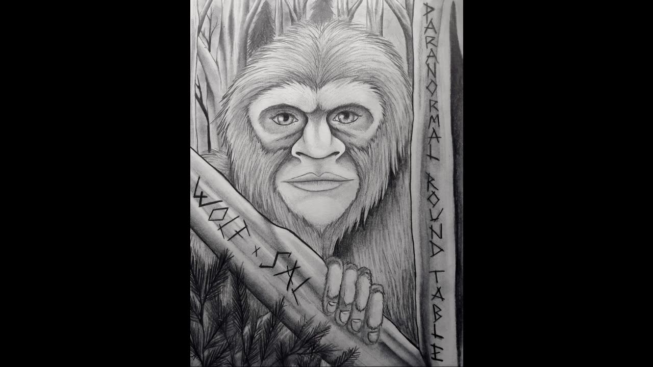 EP37 - Sasquatch Sightings