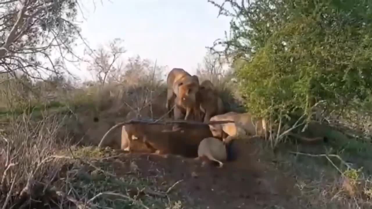 Don't think I can't catch you until you get out