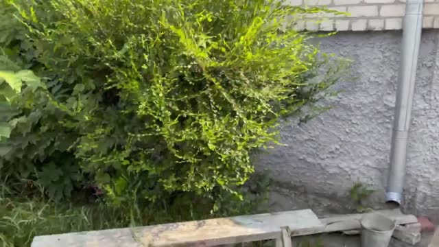 Lisichansk, Former Ukraine: No translation needed