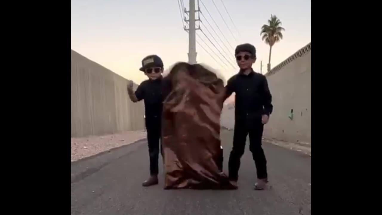 Everyone did their job except the cameraman! 😅