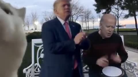 PRESIDENT TRUMP DANCE