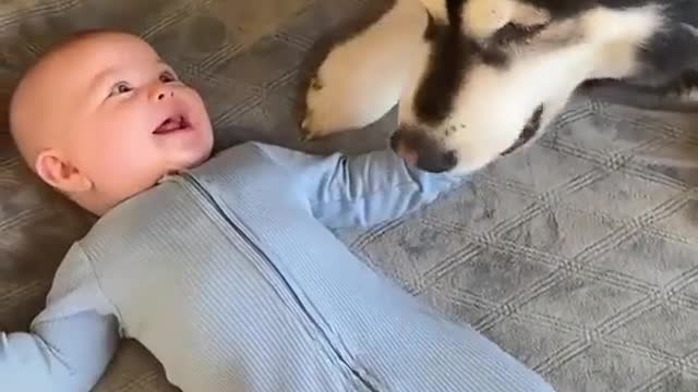 The little boy has a best friend's dog to pet... 💖