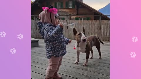 Gentle Bull Terrier Falls In Love With Baby Sister At First Sight