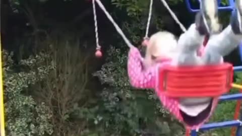 Funny animal videos I sincerely hope you enjoy it