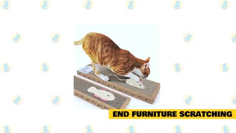 How to Train your Cat!