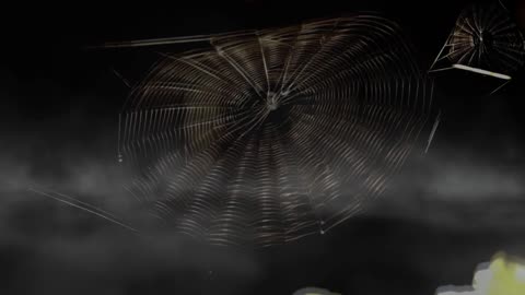 TDS—A web of straw men & lies propping up a face-saving psychosis**