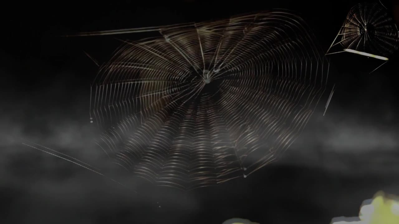 TDS—A web of straw men & lies propping up a face-saving psychosis**