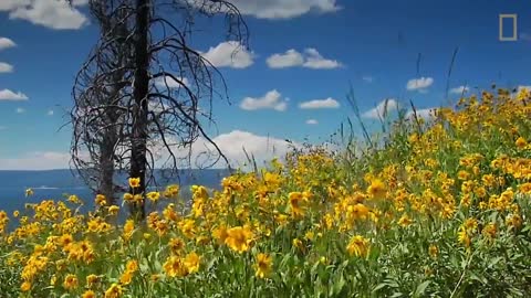 Beautiful Landscapes National Geographic