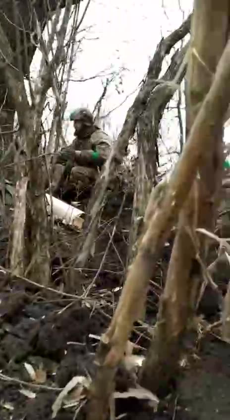 Aimed shot - and a few more orcs will return home in black bags