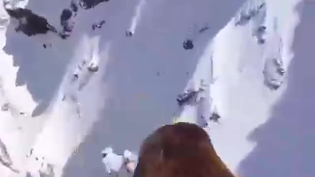 Filmado o Voo da Águia Sobre as Montanhas
