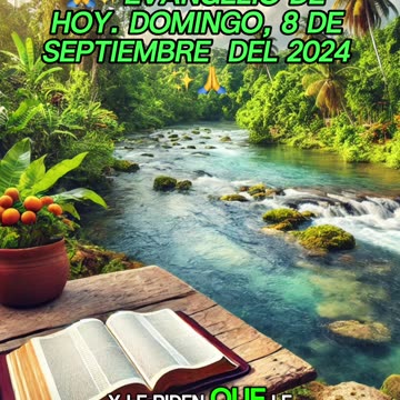 🙏✨Evangelio de HOY. Domingo, 8 de Septiembre del 2024 ✨🙏