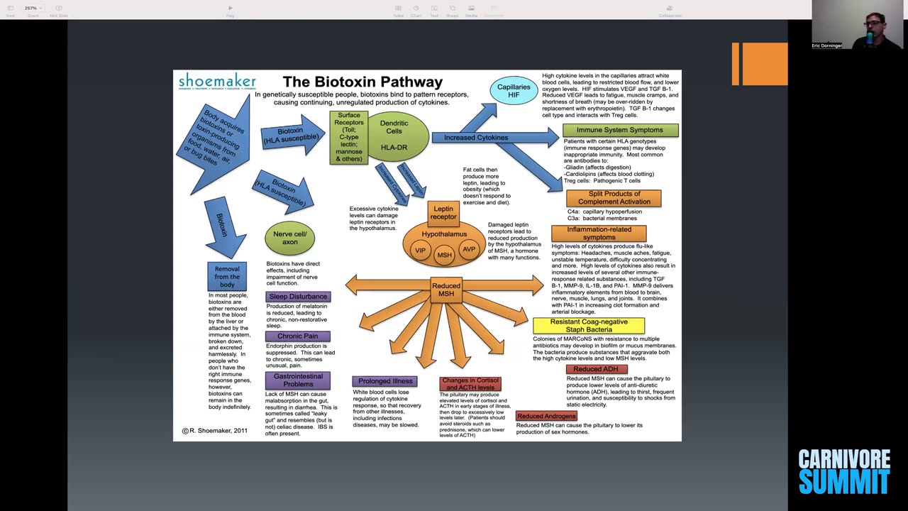 Dr. Eric Dorninger - The Biotoxin Pathway Understanding Chronic Inflammation