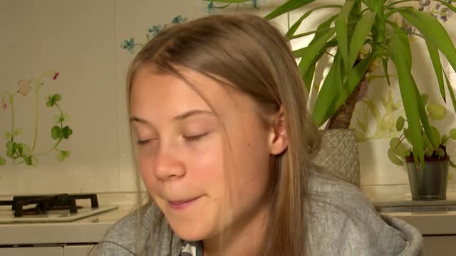 Greta Thunberg: being famous easier in Sweden