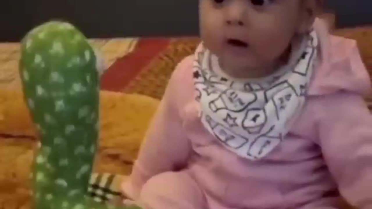 Babies funny reactions on dancing cactus 😂