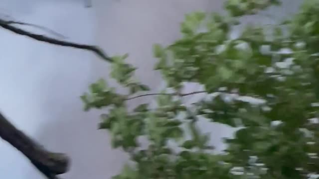 Large Tornado Passes by Home in Kansas