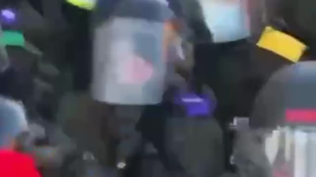 OMG the police just trampled a lady with their horse