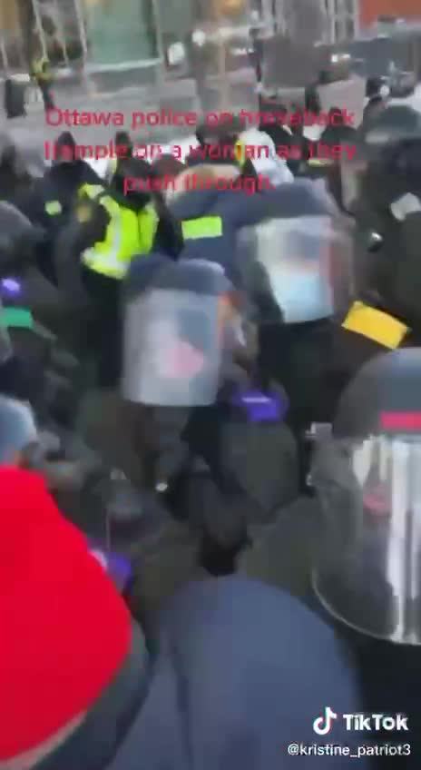 OMG the police just trampled a lady with their horse