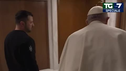 High as giraffe balls Zelenskyy meet the pope