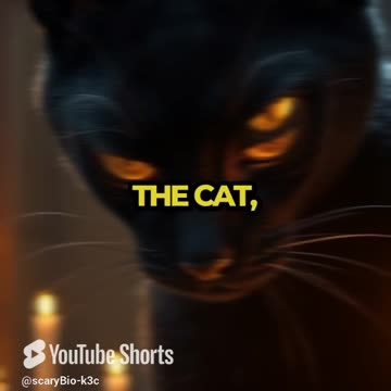 Is my cat a guardian or a curse?🐾 #shorts