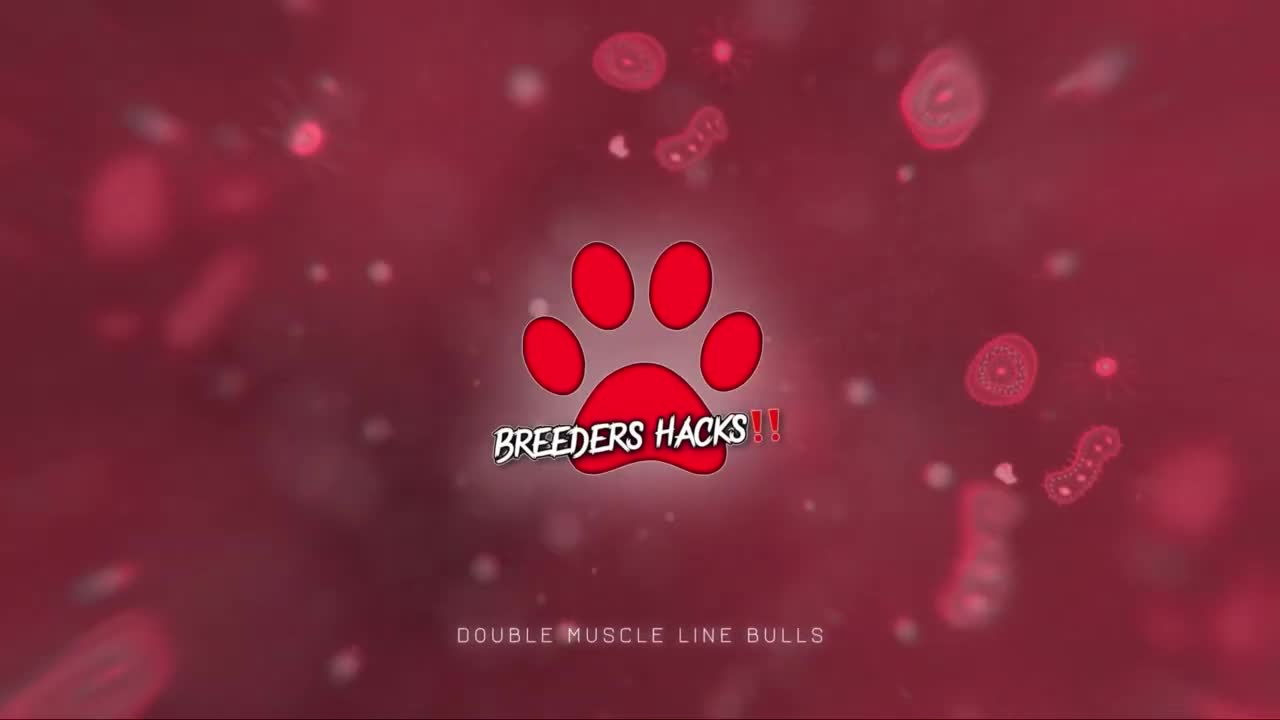 Dog Breeding Questions & Answers (Episode #7) - Breeders Hacks