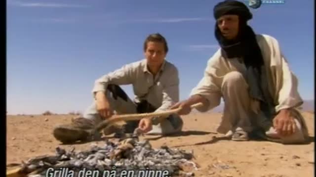 Bear Grylls eating vipersnake in Africa