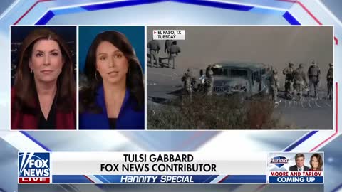 Tulsi Gabbard rips lawmakers for 'failing' at their most basic responsibility